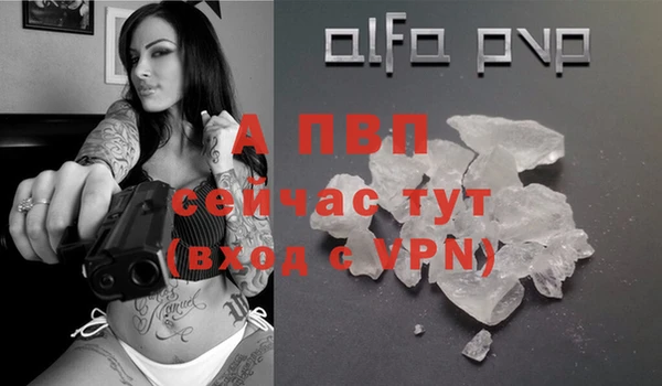 PSILOCYBIN Бугульма