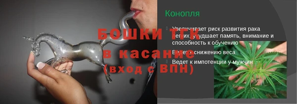 PSILOCYBIN Бугульма