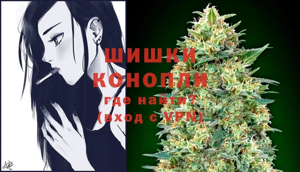 СК Бородино
